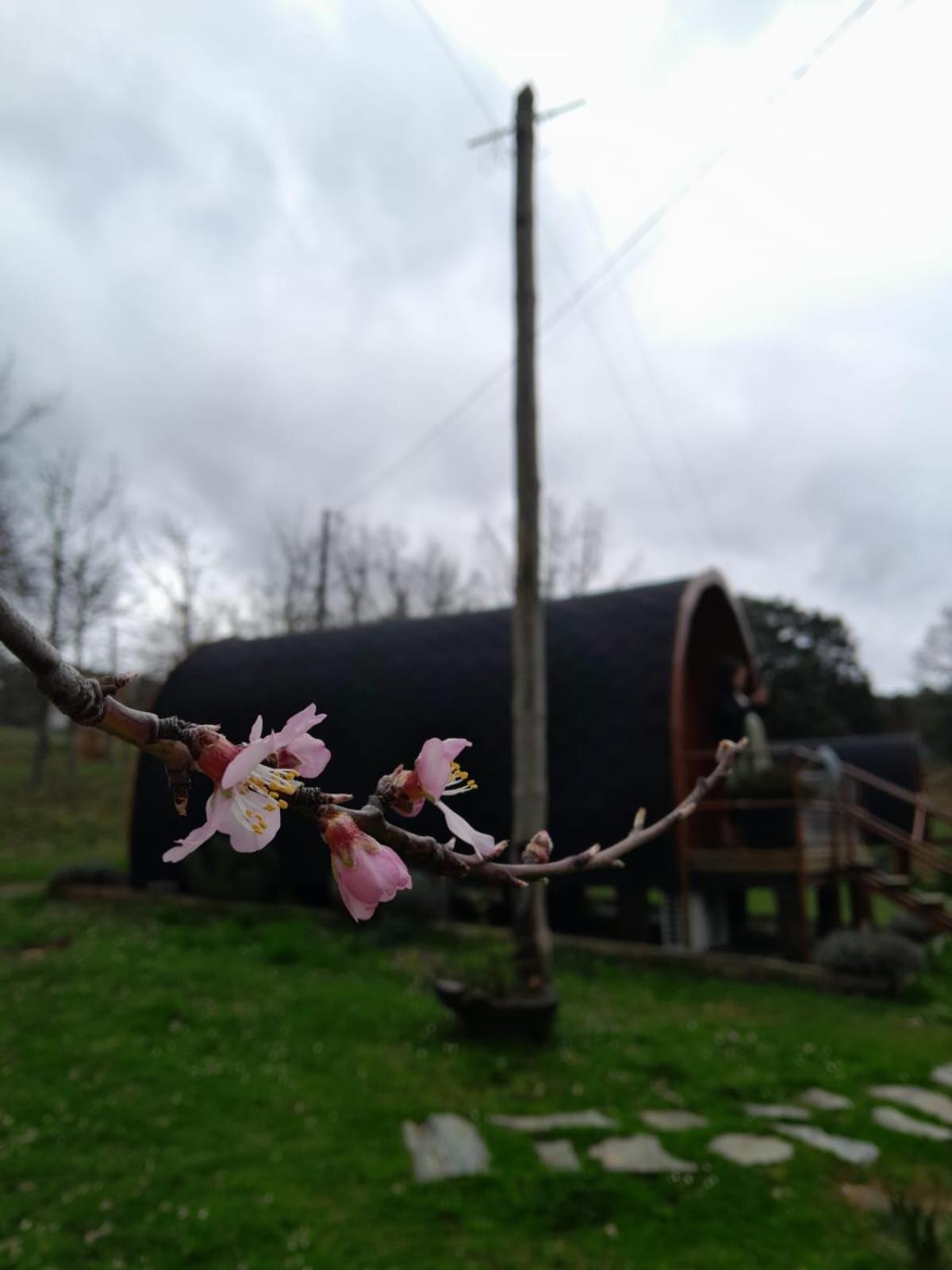 비냐이스 Quinta Da Devesa B1 아파트 외부 사진